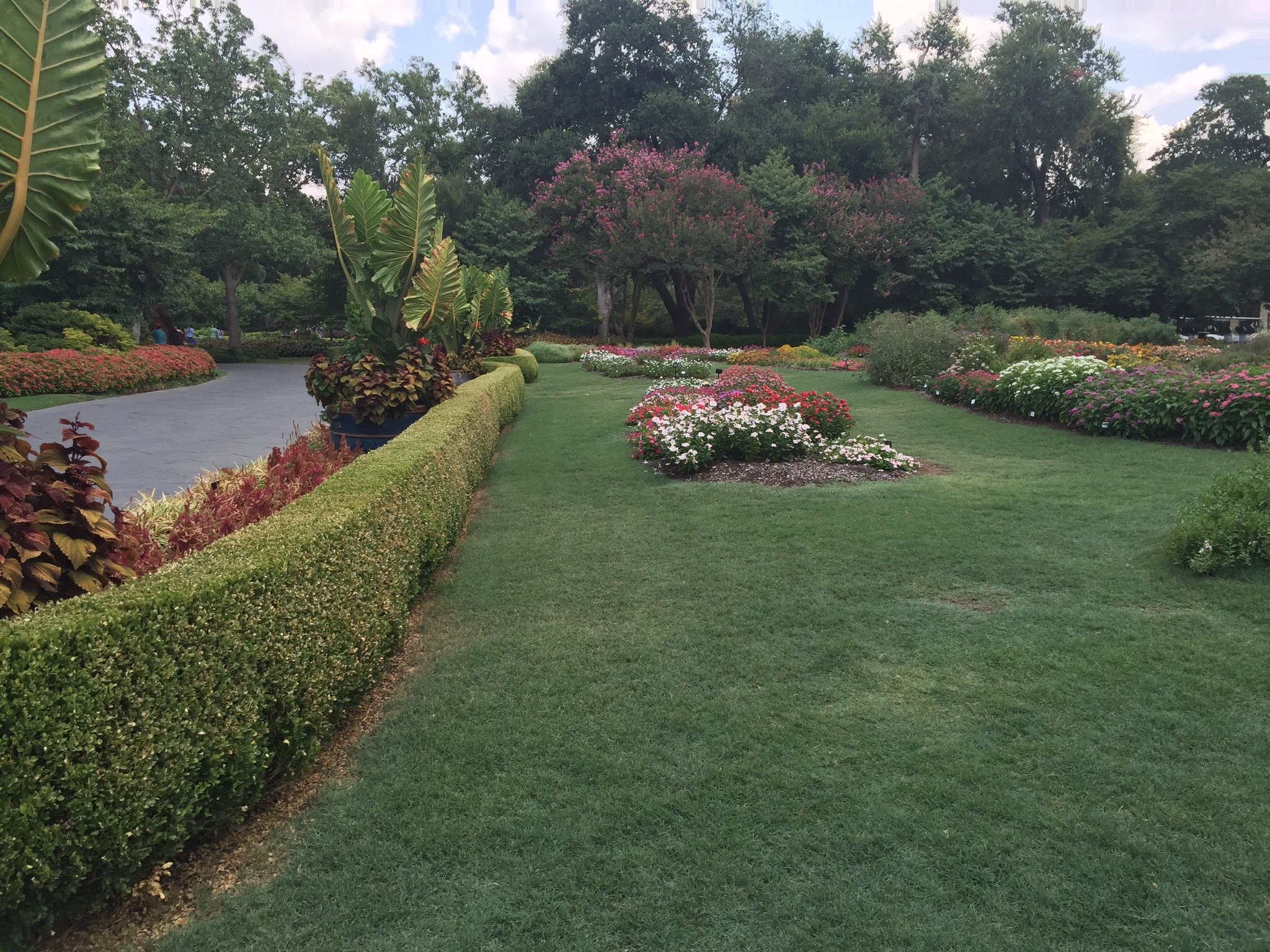 11921869_1603210636610934_196510682544832705_o