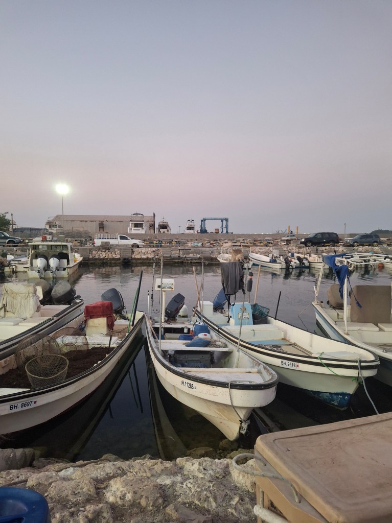 A view of a fishing harbor at dusk with several small boats docked along the shoreline, illuminated by a bright overhead light.