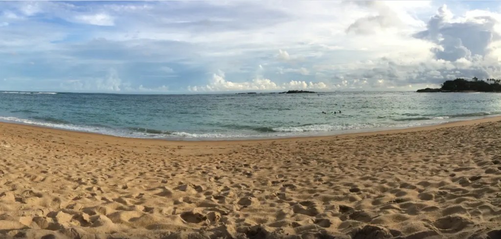 Golden sunset over palm-fringed Unawatuna Beach in Sri Lanka with gentle waves lapping the shore
