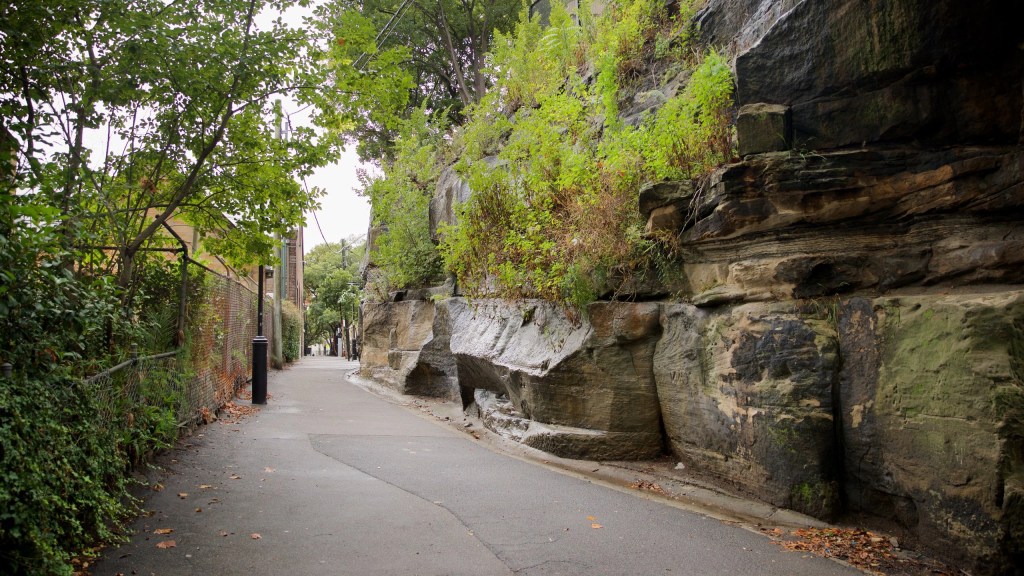 A serene pathway surrounded by lush greenery and rocky cliffs in Sydney, Australia.