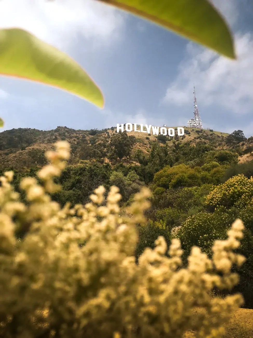 Vista del letrero de Hollywood en una colina rodeada de vegetación y flores, bajo un cielo parcialmente nublado.