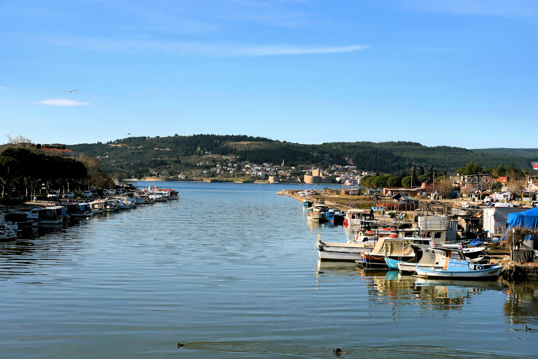 A scenic view of a tranquil harbor lined with boats, set against a backdrop of green hills and a clear blue sky.