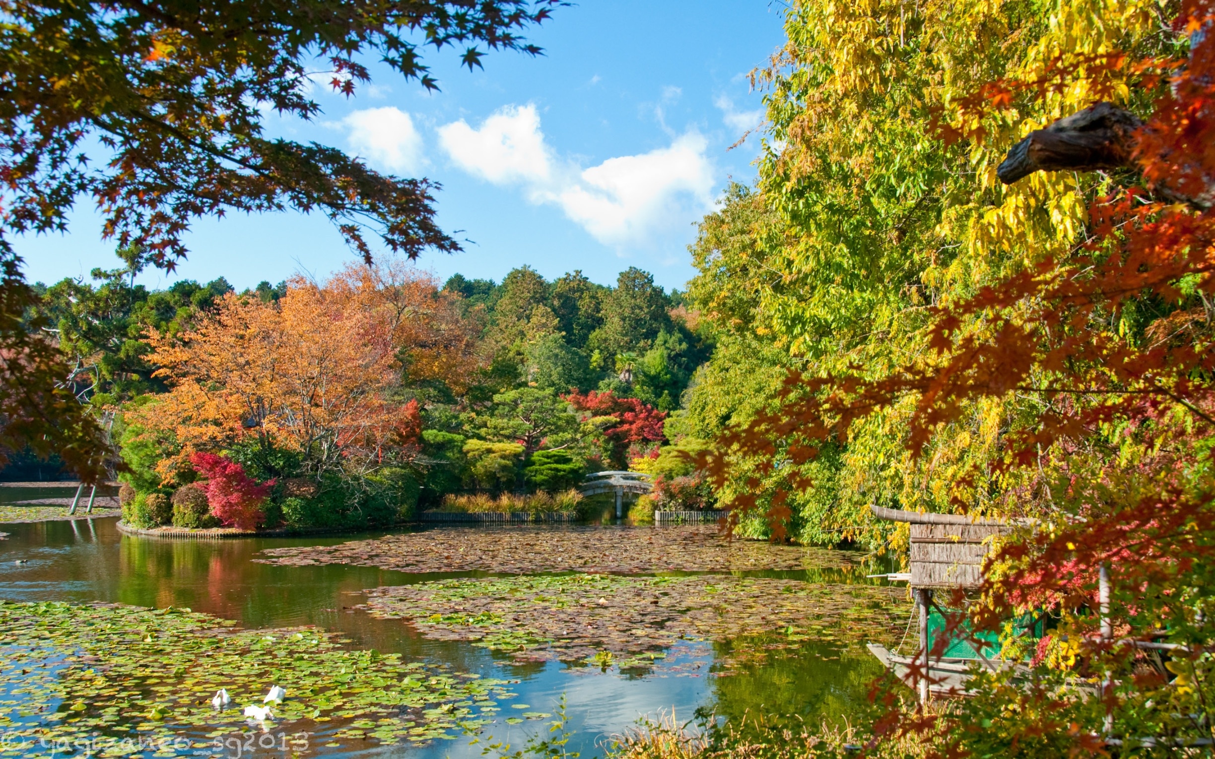 A serene landscape showcasing a tranquil pond surrounded by vibrant autumn foliage, including red, orange, and yellow leaves, with a clear blue sky above.