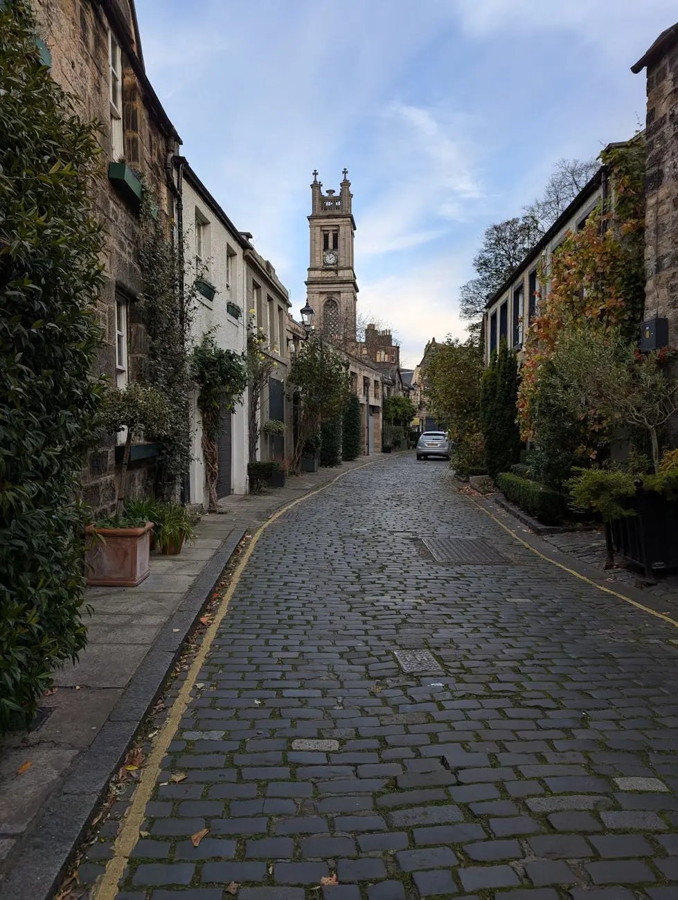 A quiet cobblestone street lined with trees and charming buildings, featuring a clock tower in the distance under a blue sky.