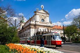 A red and white tram passing by a beautifully detailed historic building with blooming tulips in the foreground, under a clear blue sky in Prague.