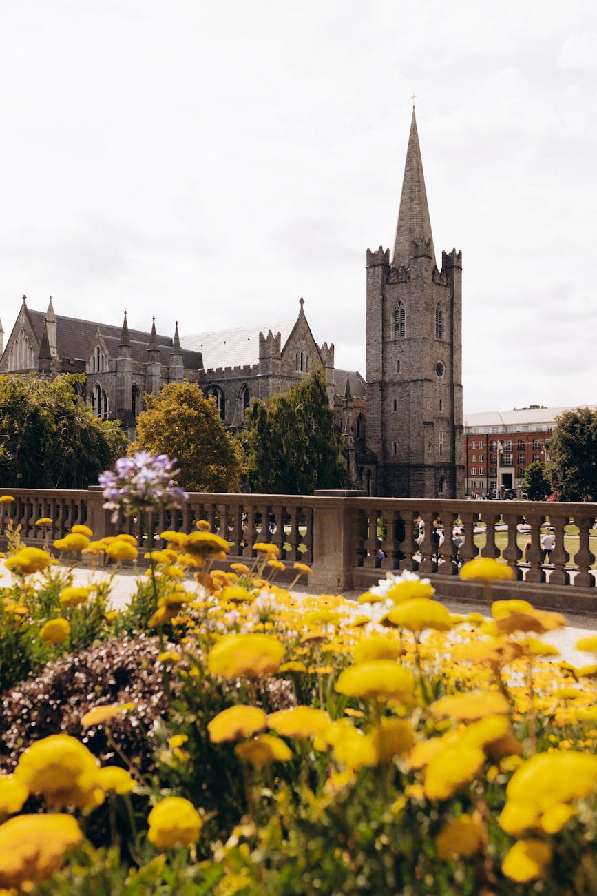 A view of St. Patrick's Cathedral in Dublin, surrounded by colorful yellow flowers in the foreground.