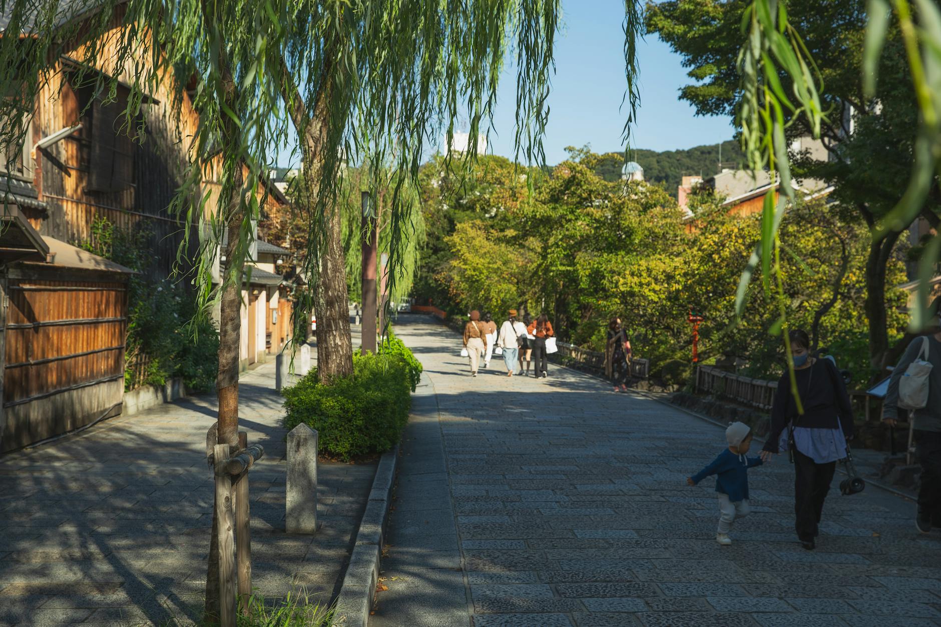 A picturesque street in Kyoto, lined with traditional wooden houses and lush greenery, featuring people strolling along the pathway.