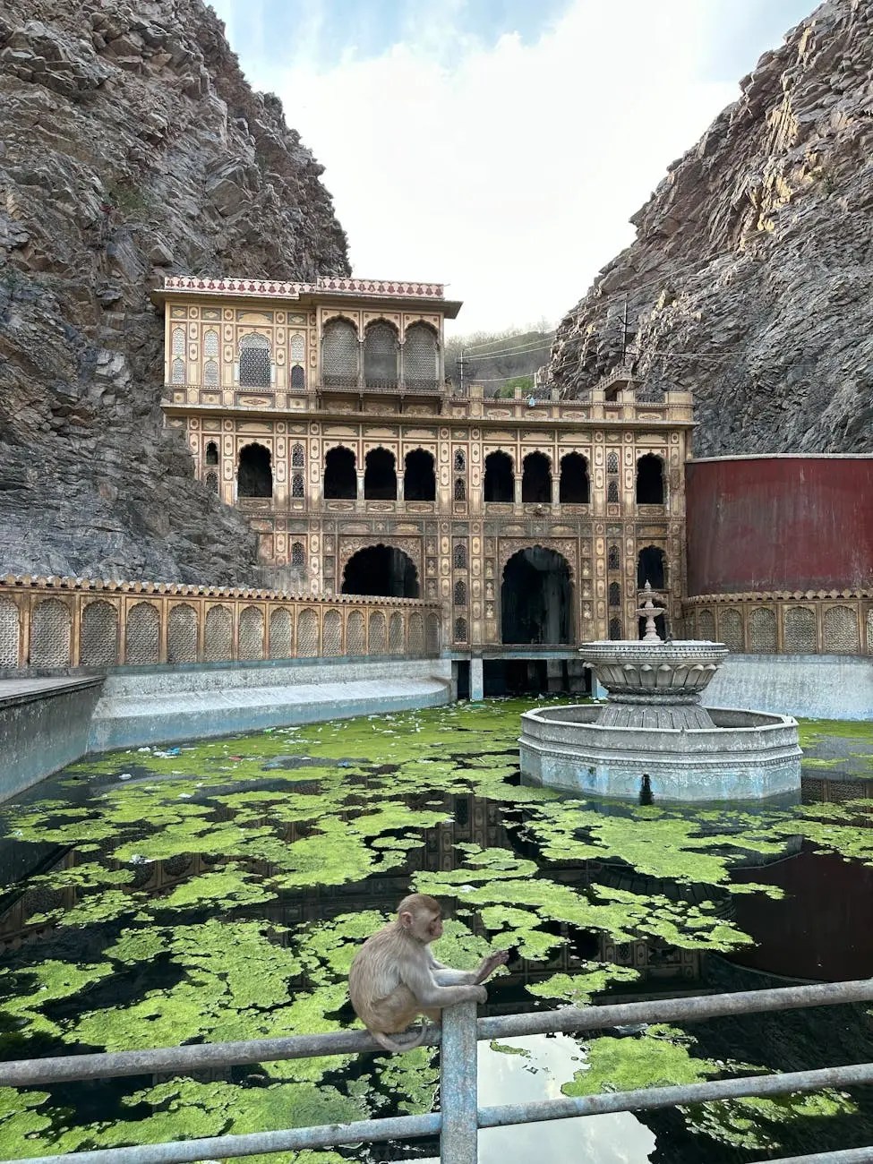 A monkey sitting on a railing in front of a water-filled stepwell with intricate architecture framed by rocky cliffs.