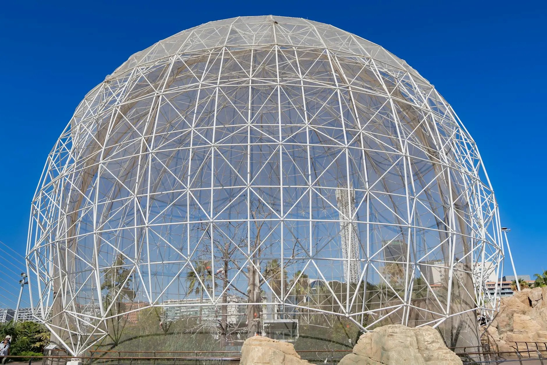 A close-up view of the iconic futuristic structure at the City of Arts and Sciences in Valencia, Spain, showcasing its distinct white geometric framework against a bright blue sky.