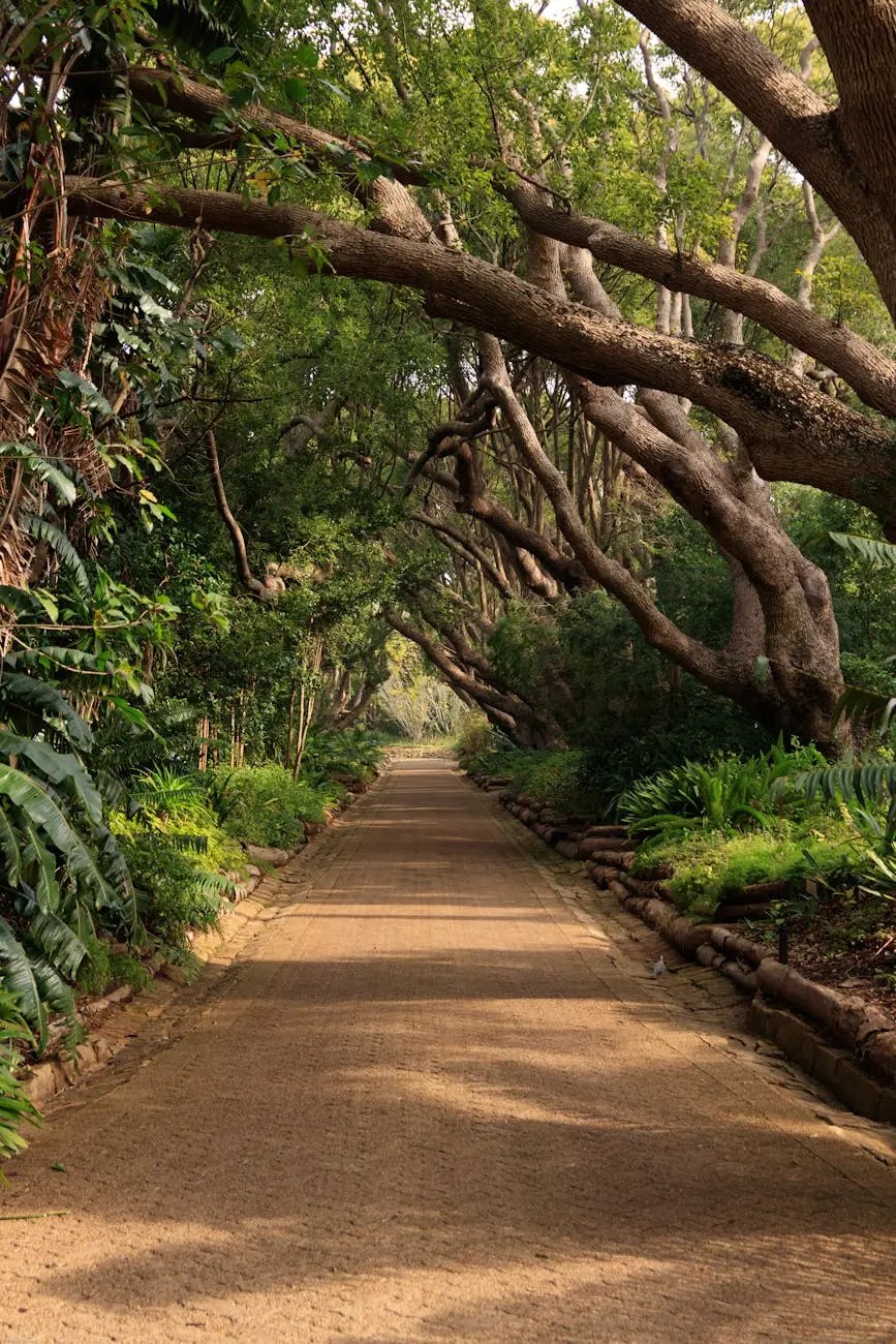 A serene pathway lined with tall trees and lush greenery, creating a tranquil atmosphere.