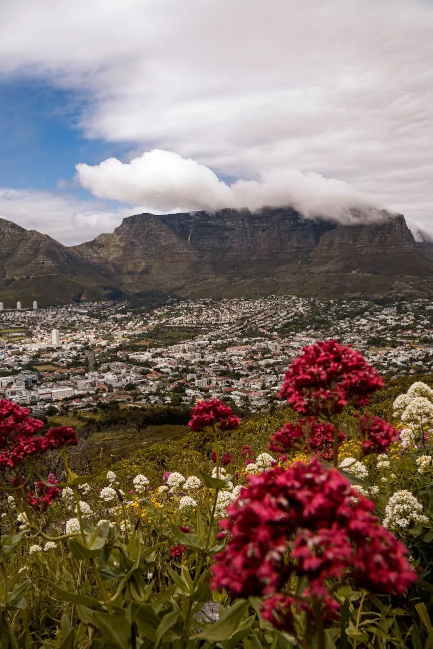 Scenic view of Table Mountain with clouds and vibrant flowers in the foreground, overlooking a cityscape in Cape Town.