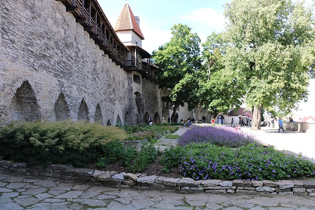 A view of a medieval stone wall with arched windows and a wooden walkway above, surrounded by green trees and blooming flowers in the foreground, showcasing a charming atmosphere of Tallinn's Old Town.