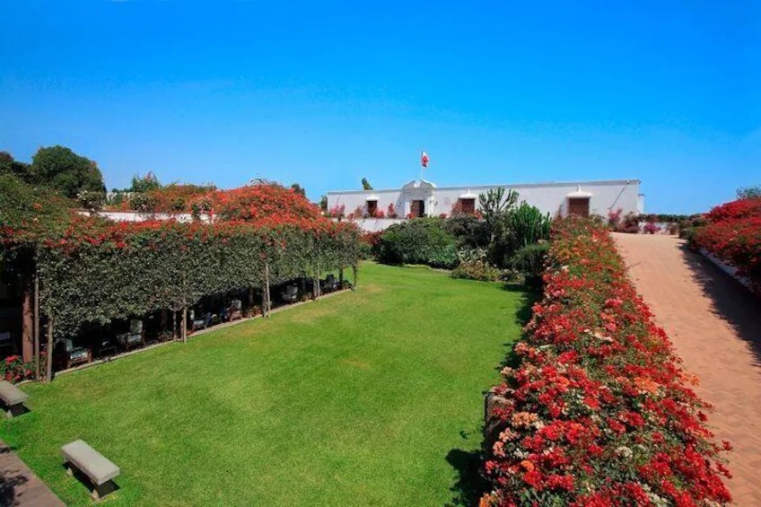 A well-maintained garden with colorful flowering plants and grass, leading to a white building under a bright blue sky.